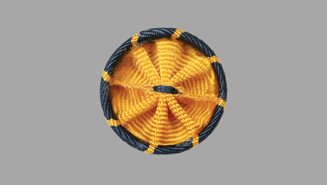 American Association for the Advancement of Science Rosette. Photo credit AAAS. Used with permission.