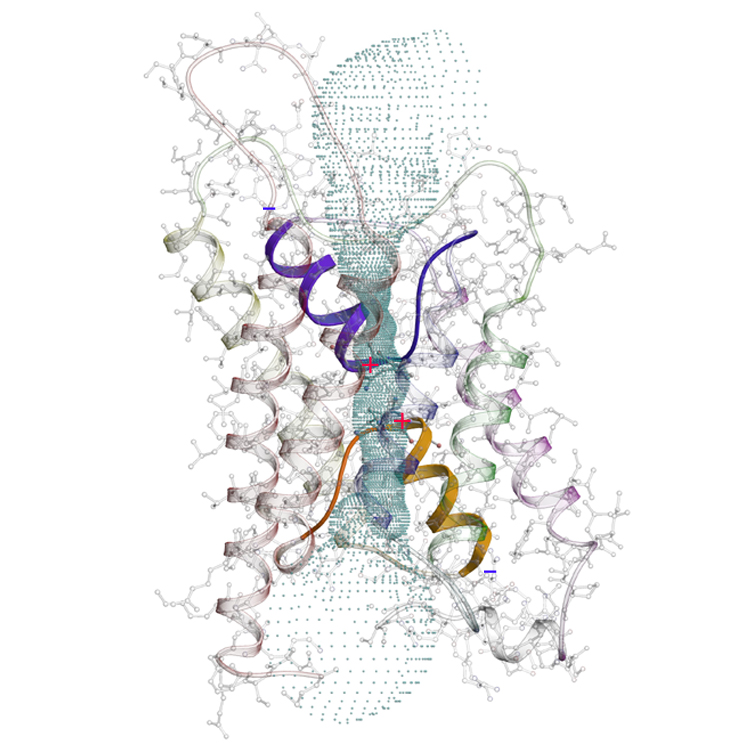 Membrane proteins by electron or x-ray crystallography Membrane proteins by electron or x-ray crystallography