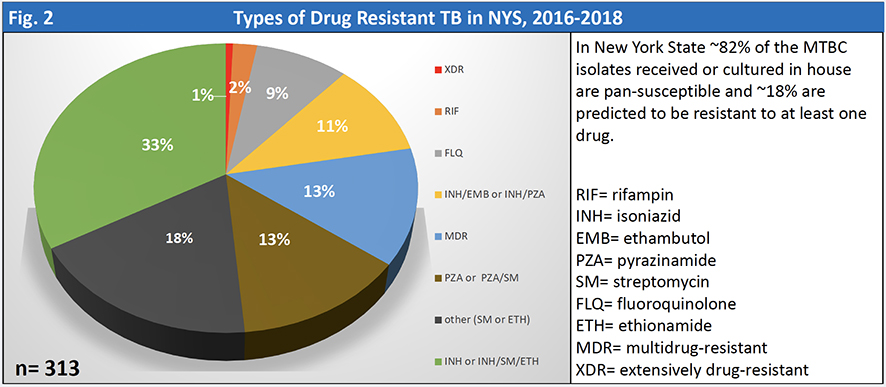 Types of drug resistant TB in New York State