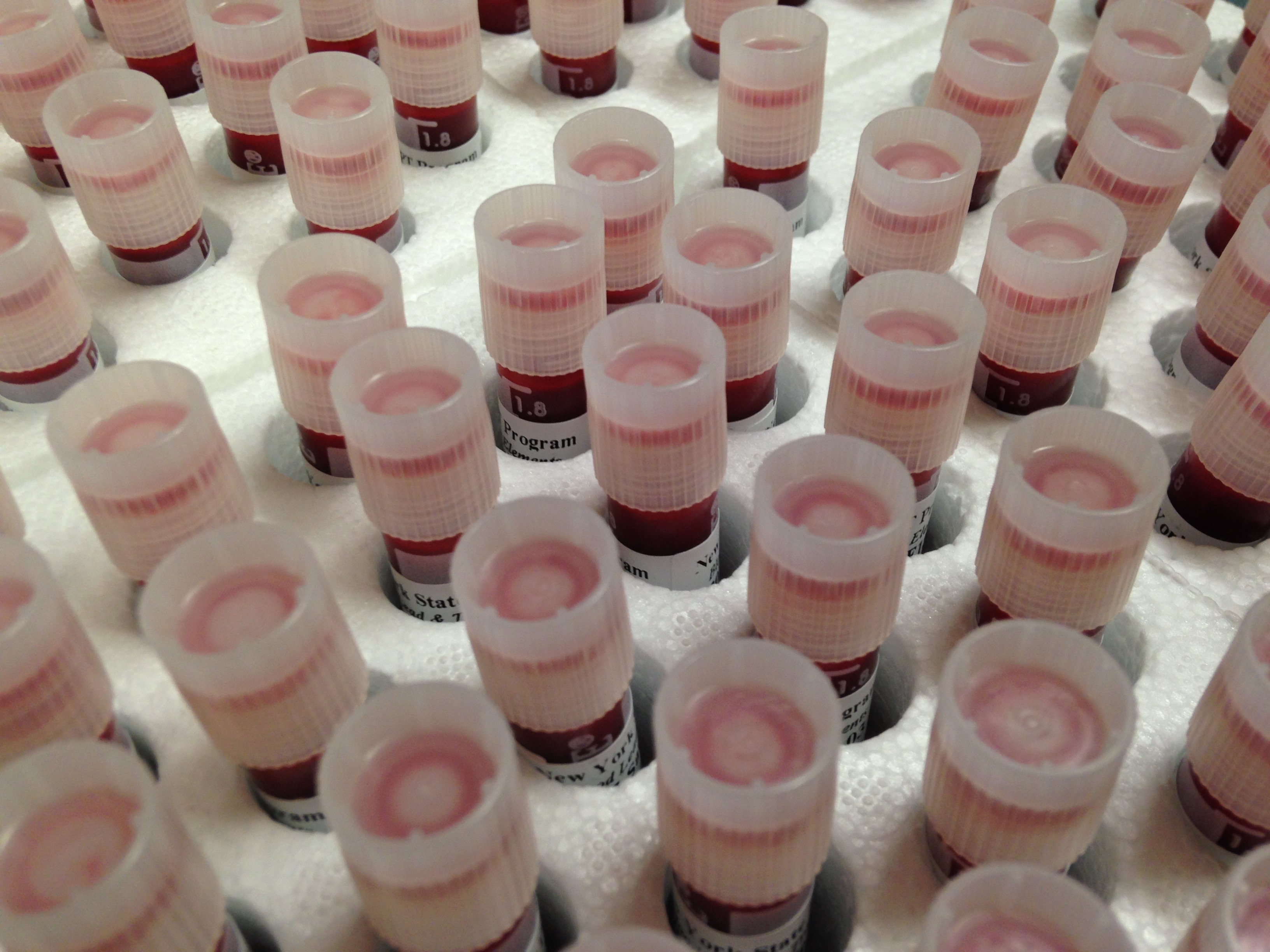 Wadsworth Center’s Human Health Exposure Analysis Resource (HHEAR) Laboratory Hub Awarded 2.4