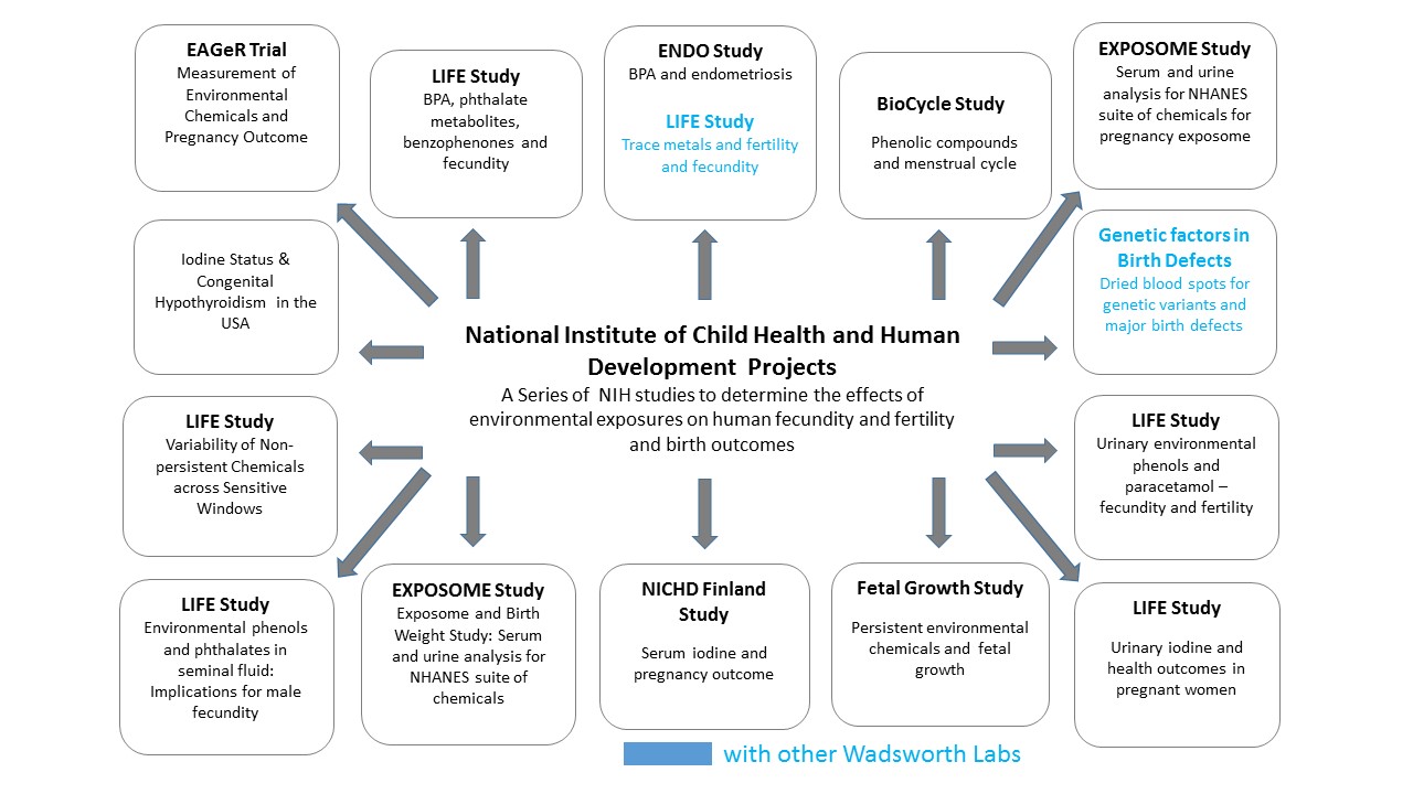 NICDH Projects NICDH Projects