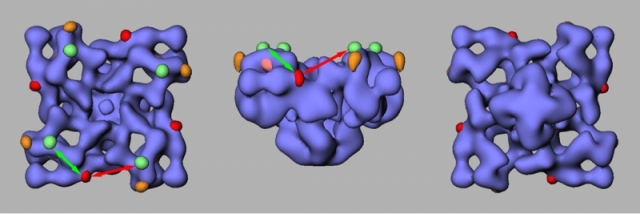 Site-specific mapping by 3D cryo-EM Site-specific mapping by 3D cryo-EM
