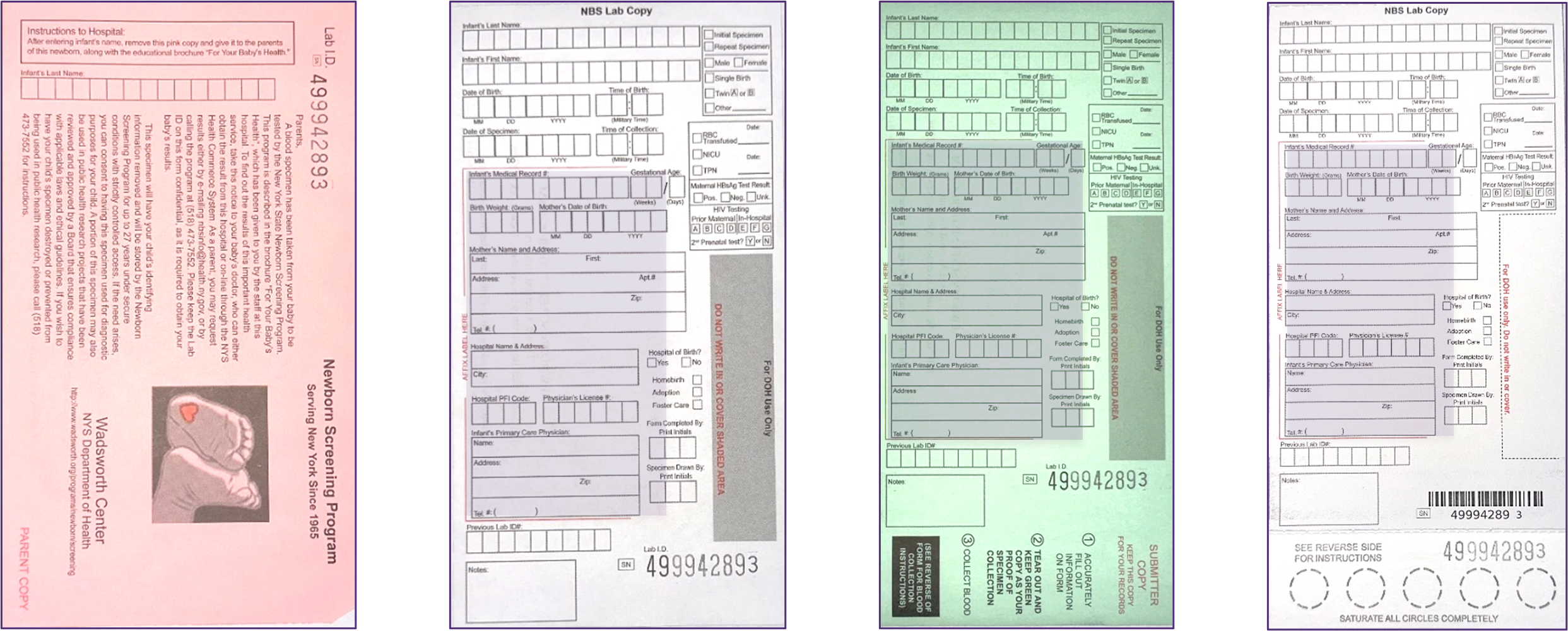 NBS blood collection forms