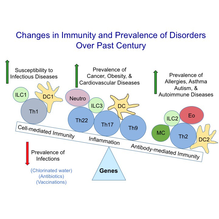 Changes in immunity and prevalence of disorders over past century