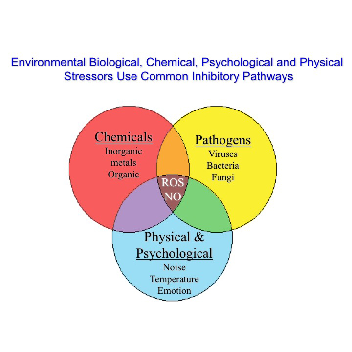 Environmental, biological, chemical psychological and physical stressors use common inhibitory pathways