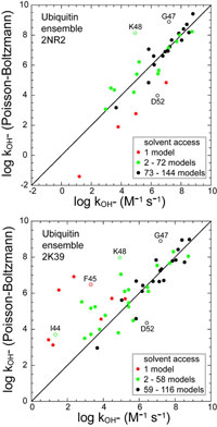 Predicted vs. observed hydroxide-catalyzed amide hydrogen exchange rate constants.
