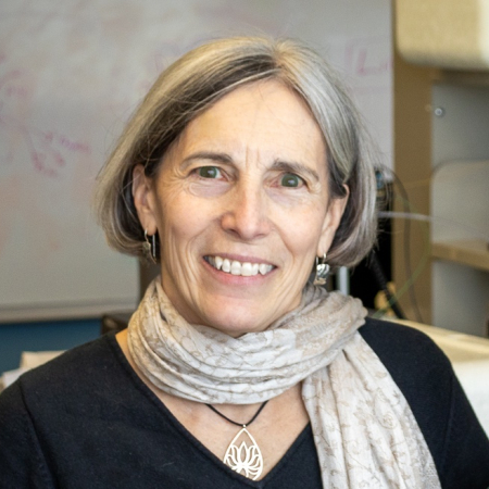 Janice D. Pata, Ph.D. Janice D. Pata, Ph.D.