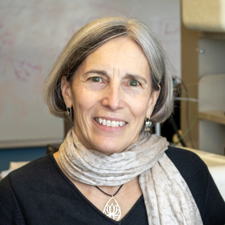 Janice D. Pata, Ph.D.