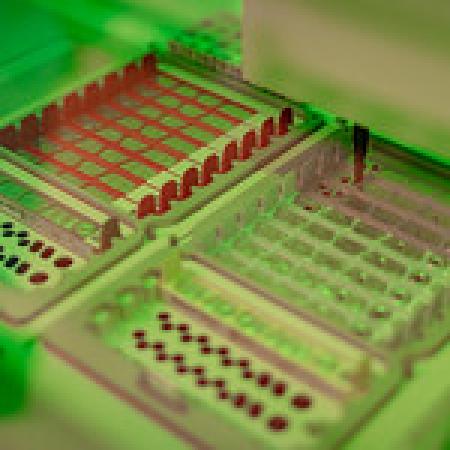 Wastewater testing. Credit: Mike Wren/NYS DOH Wastewater testing. Credit: Mike Wren/NYS DOH