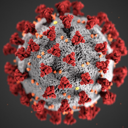 Image of COVID-19, courtesy of the CDC Image of COVID-19, courtesy of the CDC