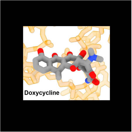 Banavali Lab Doxycycline