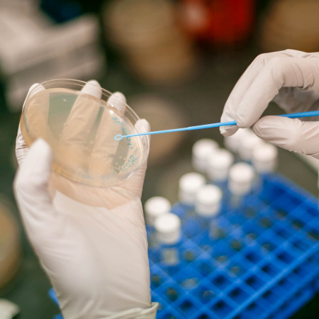 MLS Programs incorporates benchwork