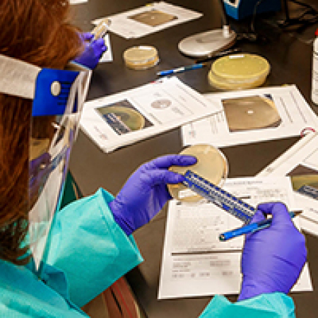 ARLN Workshop ARLN Workshop