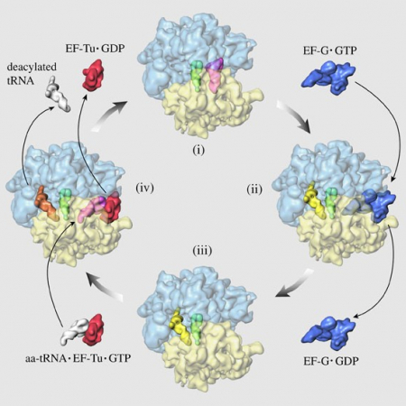 Scientific Image Scientific Image