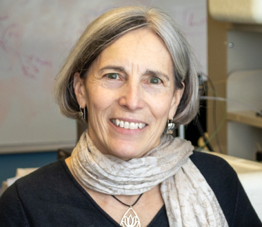 Janice D. Pata, Ph.D.