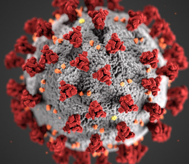 Image of COVID-19, courtesy of the CDC Image of COVID-19, courtesy of the CDC