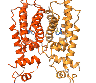 high-resolution protein structure of the molecular target for drug therapy (SmcR) bound to its inhibitor (PTSP)