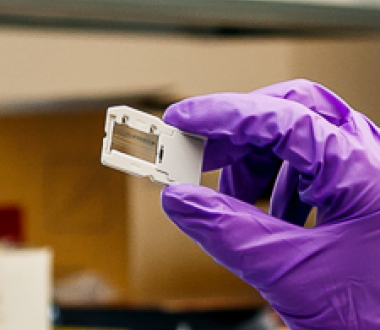 Next-generation sequencing Next-generation sequencing