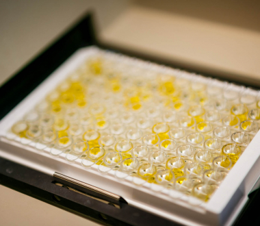 ELISA plate ELISA plate