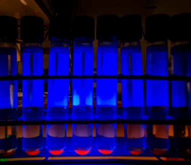 TB Testing TB Testing
