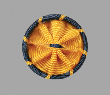 American Association for the Advancement of Science Rosette. Photo credit AAAS. Used with permission. American Association for the Advancement of Science Rosette. Photo credit AAAS. Used with permission.