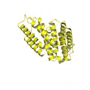 AlphaFold image of predicted cell-surface kin-identifier protein