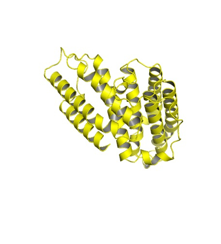 AlphaFold image of predicted cell-surface kin-identifier protein