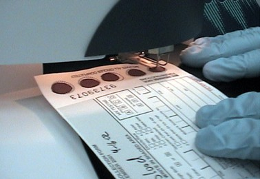 Taking a punch from a card containing dried blood spots