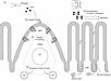 The mucosal immune system produces secretory IgA antibodies that protect epithelial surfaces from toxins and microbial patho